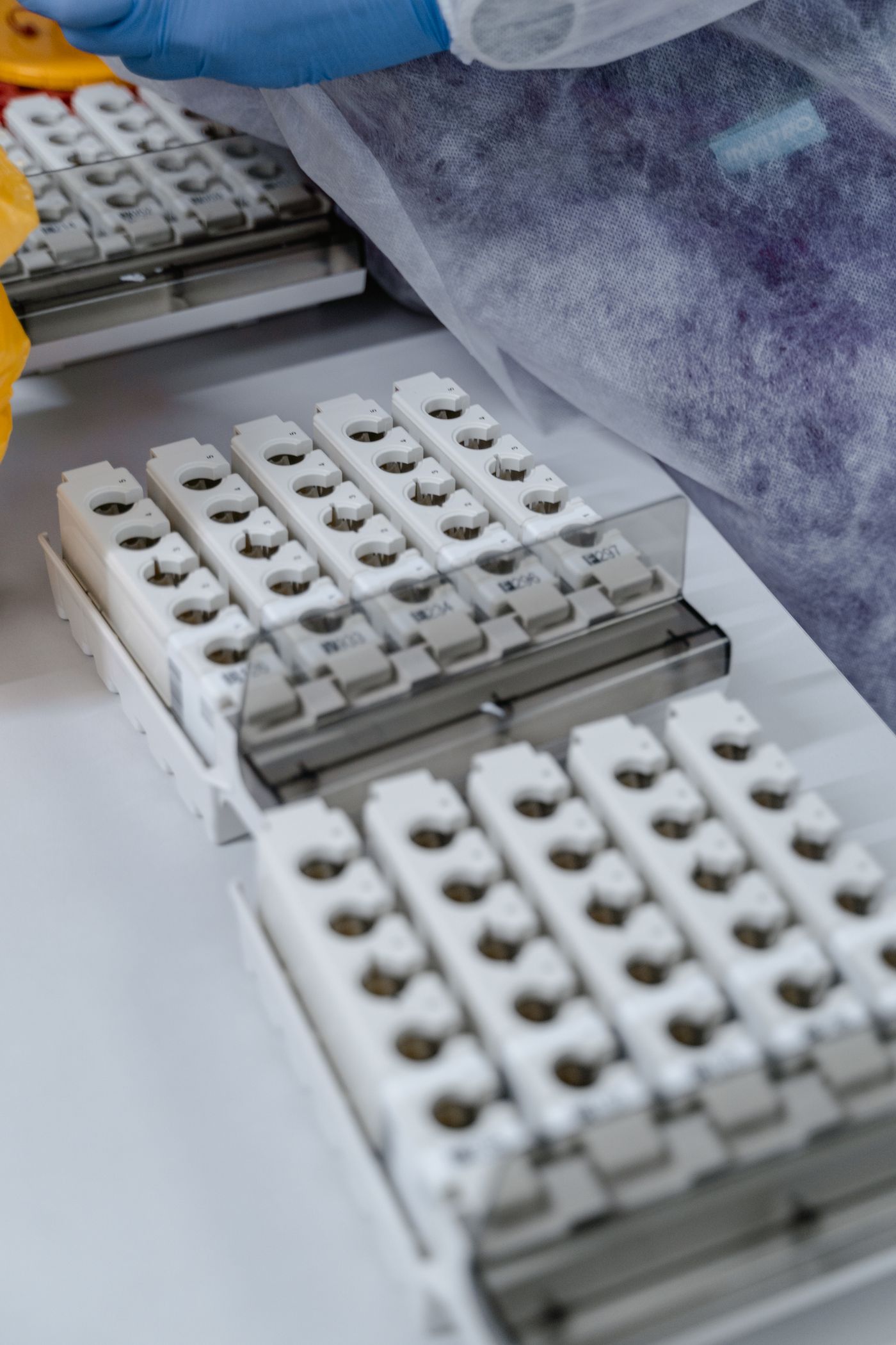 Close view of laboratory sample equipment and a gloved researcher’s hand